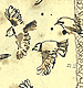 Feeding Birds: ink, wash and stitch