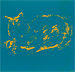 Cat at window screen print
