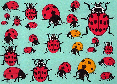 Ladybirds